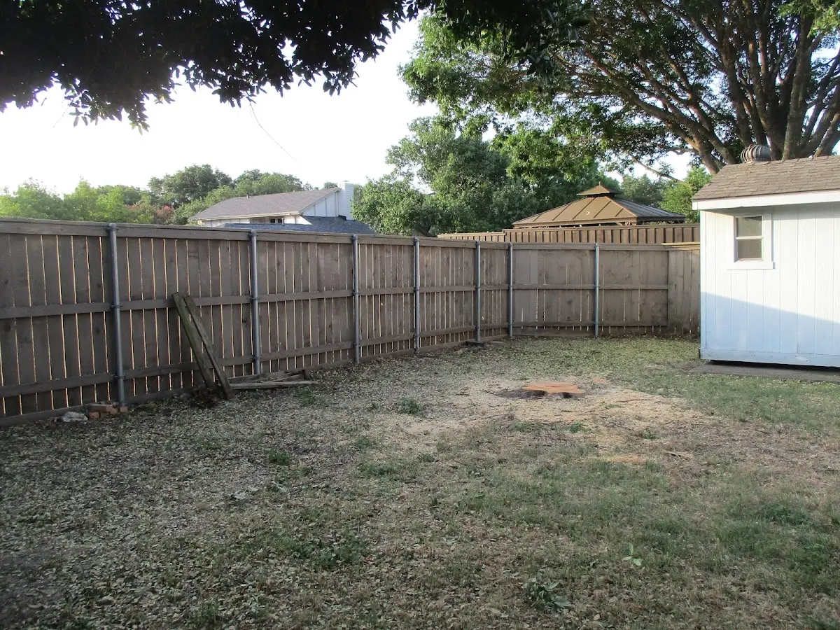 Cleared yard after professional tree removal in Ouaquaga