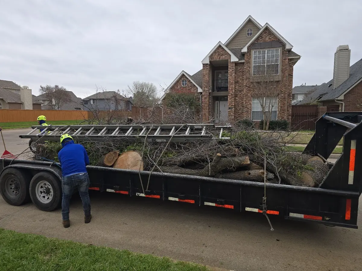 Expert Tree Removal with proper safety equipment in Ouaquaga